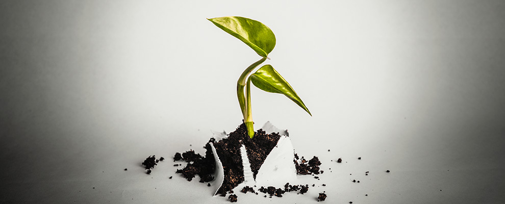 14 Steps To Grow Your Affiliate Program - JEBCommerce