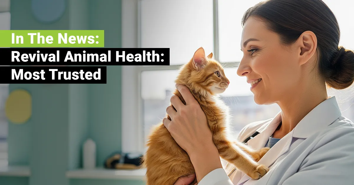 In the News: Revival Animal Health Ranked Most Trusted Online Pet Supplier – JEBCommerce