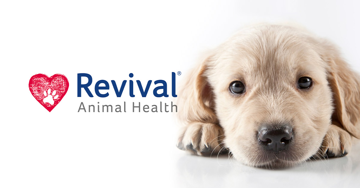 JEBCommerce is excited to welcome the Revival Animal Health affiliate  program! - JEBCommerce
